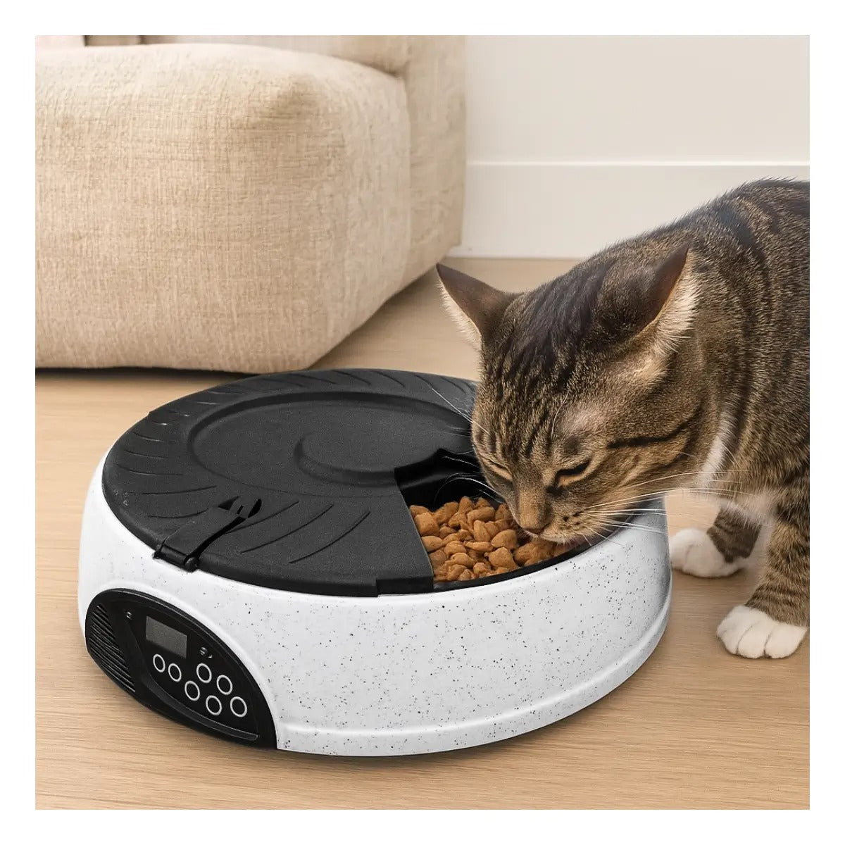 🐕 COMEDERO AUTOMÁTICO DIGITAL + FAJA RETRÁCTIL CON LUZ LED (REGALÍA)