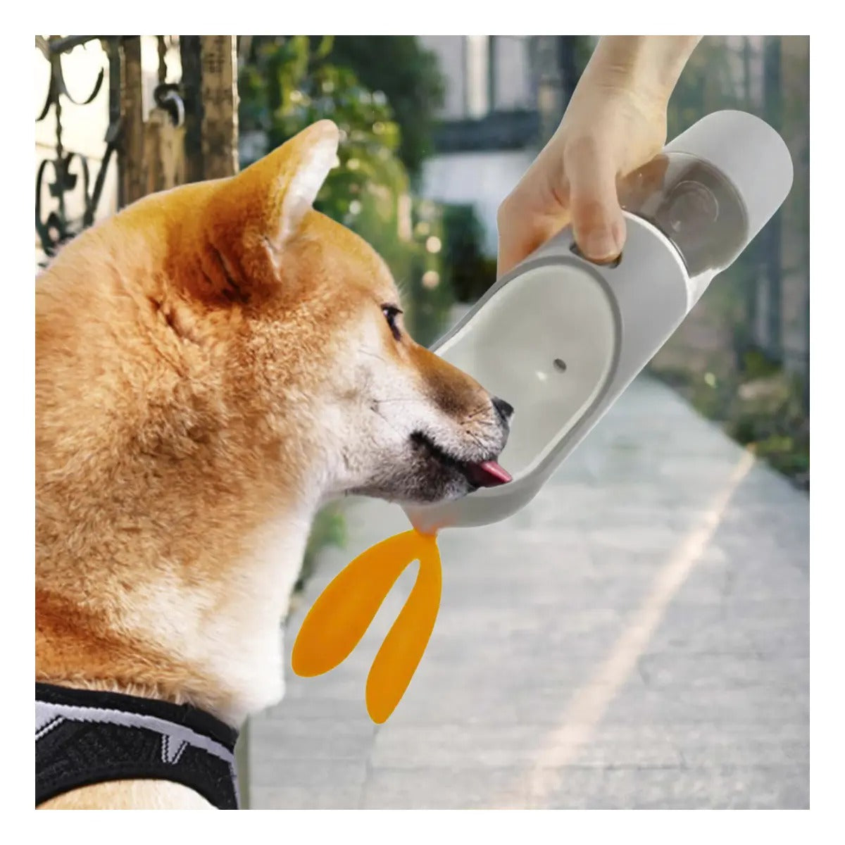 🐕 COMBO SMART MASCOTAS – COLLAR LED NEÓN + PORTA ALIMENTO Y AGUA PORTÁTIL